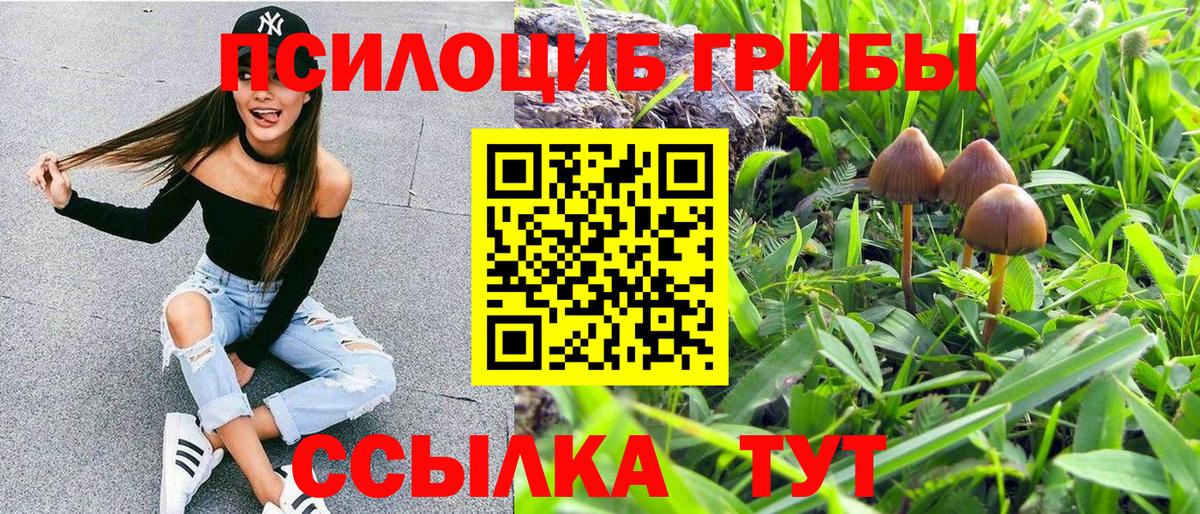 купить  сайты  Вход с VPN  Боровичи  Псилоцибиновые грибы GOLDEN TEACHER 
